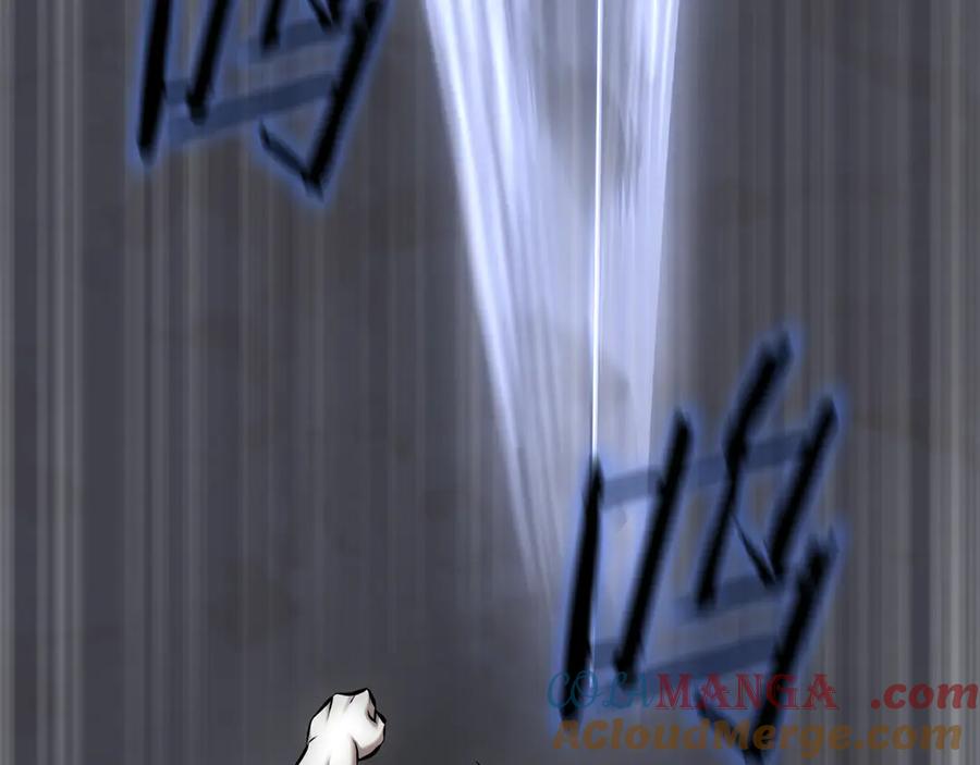 第205页