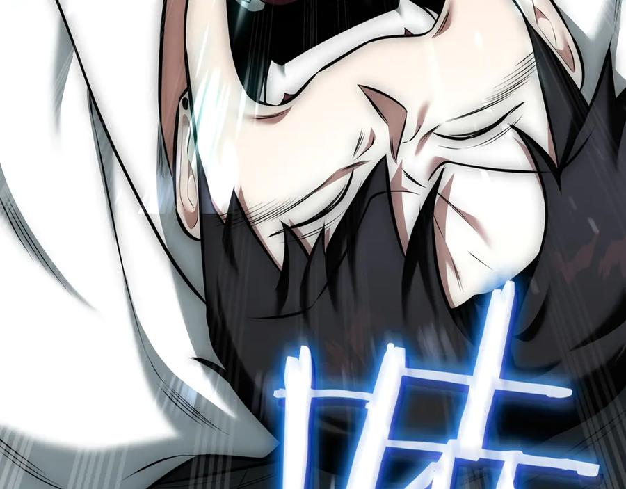 第260页