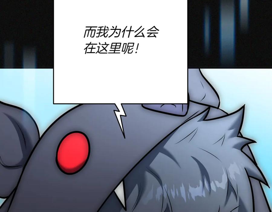 第284页