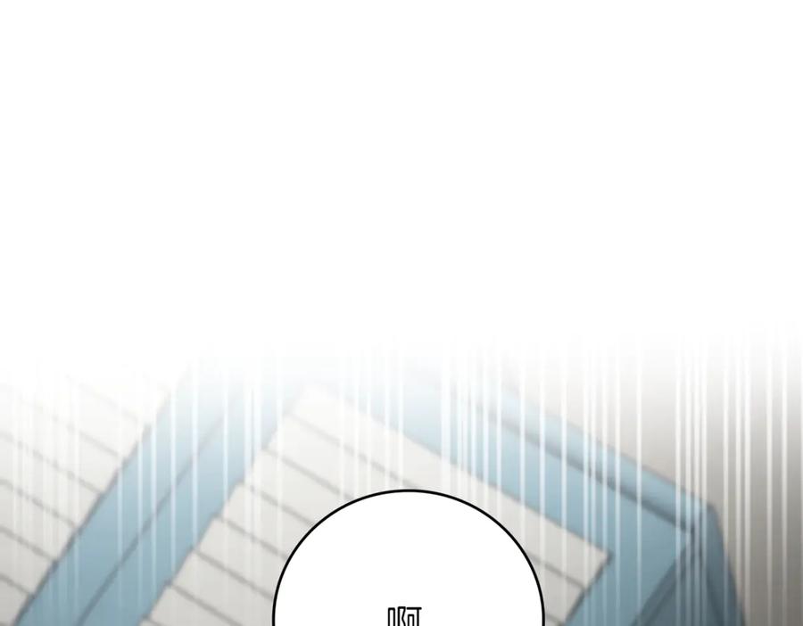 第259页