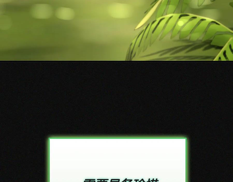 第255页