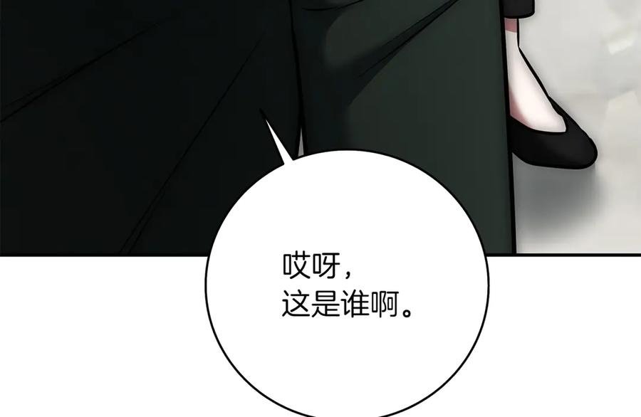 第242页