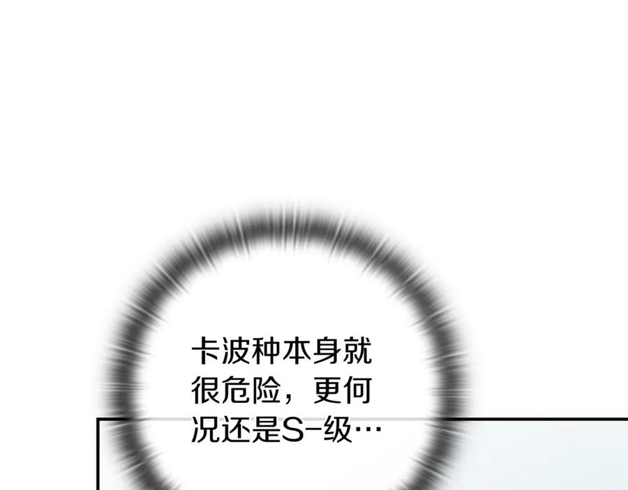 第202页