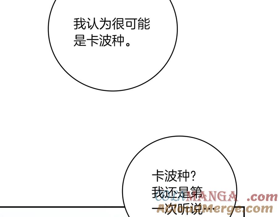 第205页