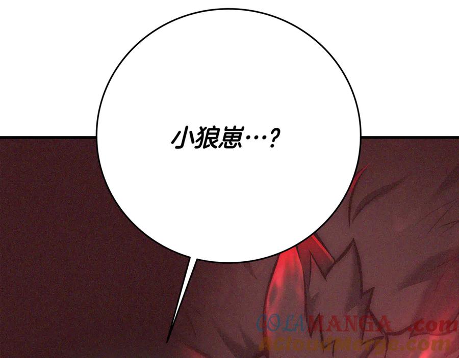 第217页