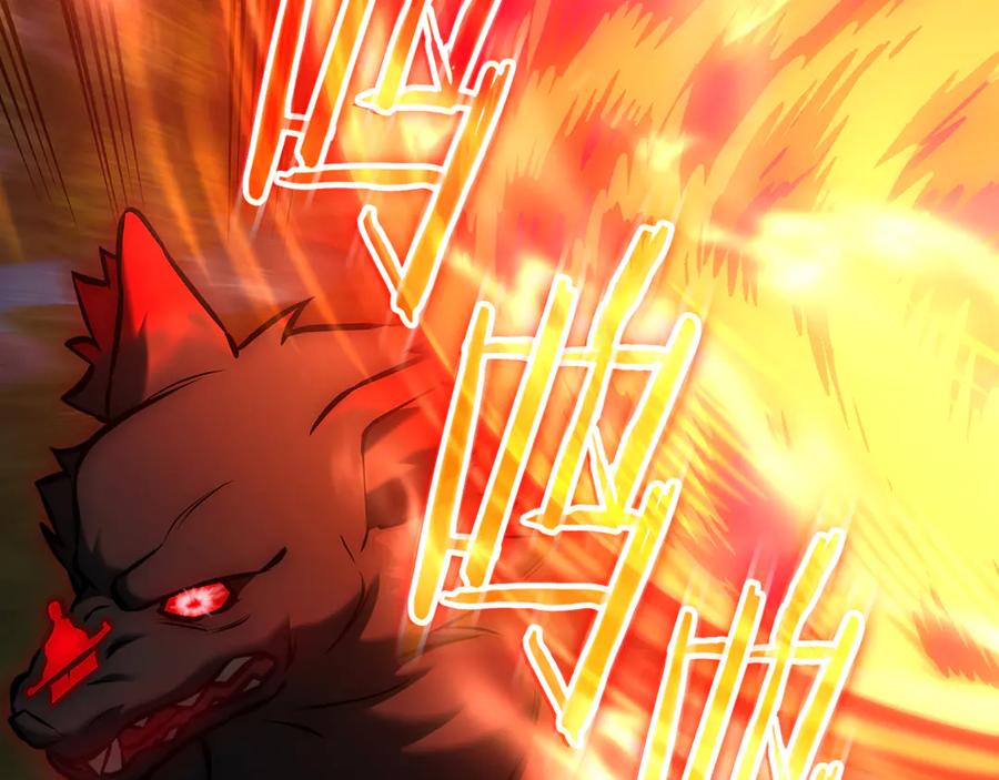 第204页