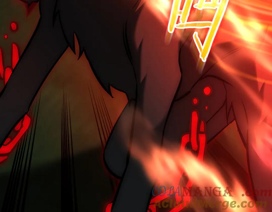 第205页