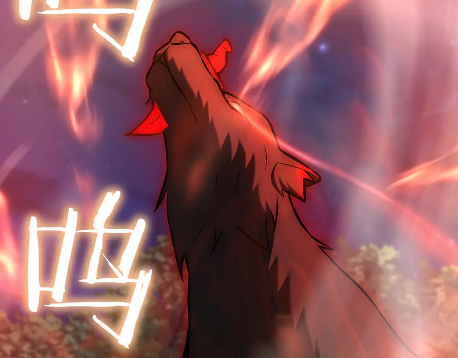第215页