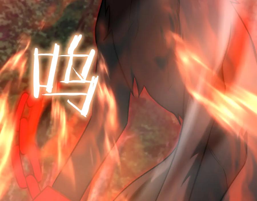 第216页