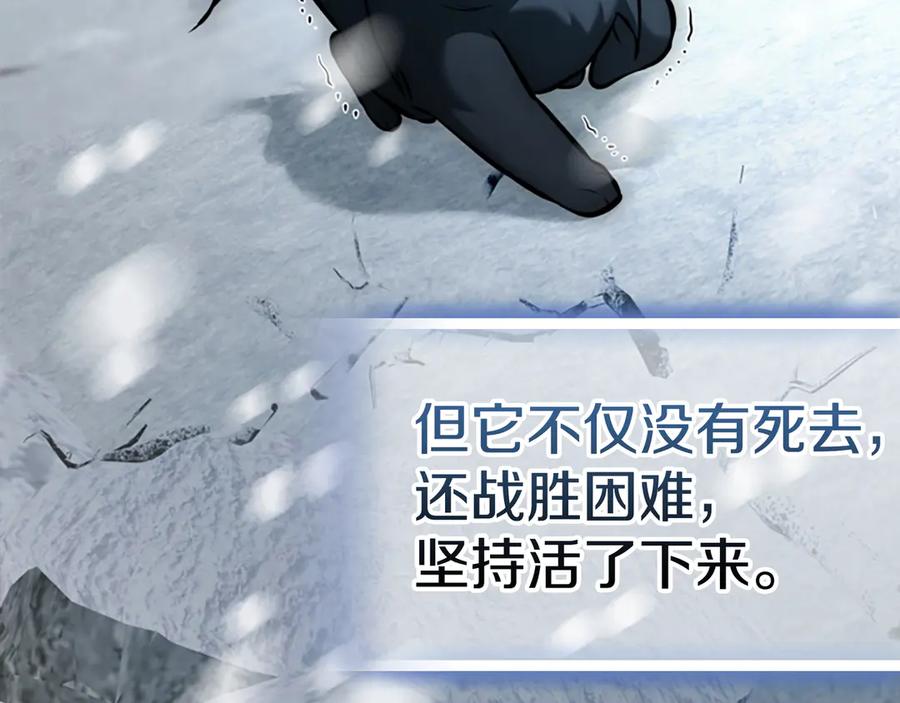 第260页