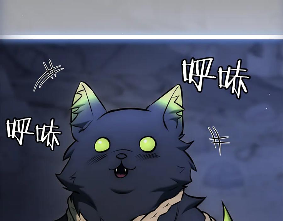 第267页