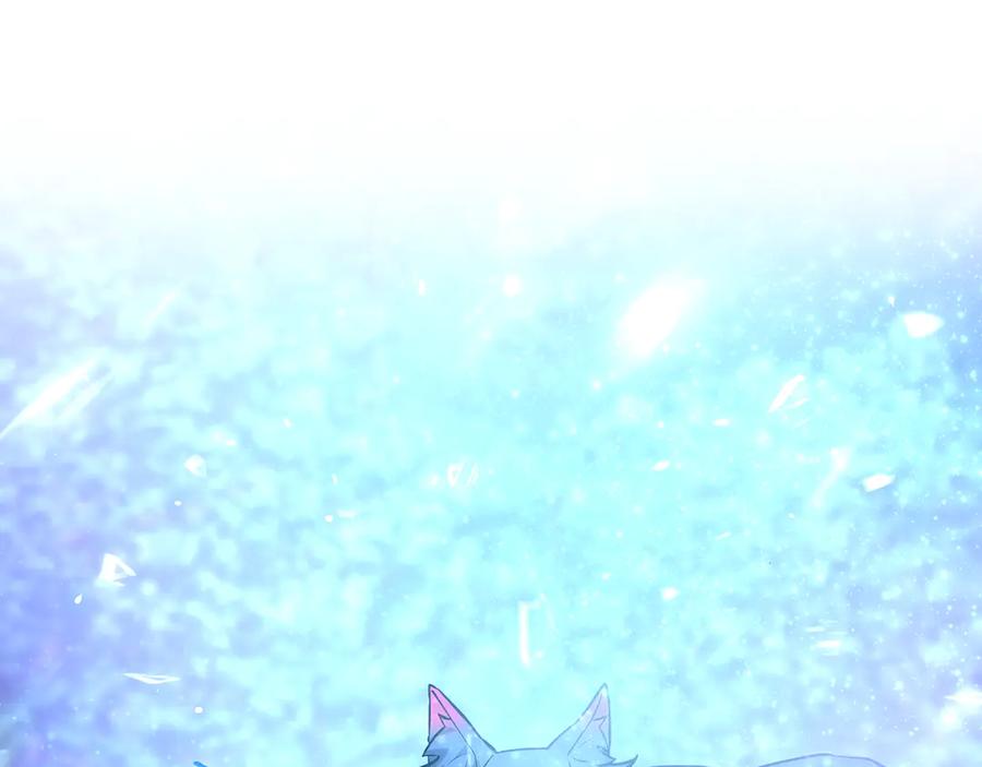 第339页