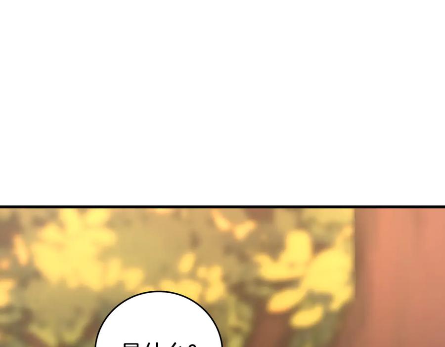 第294页