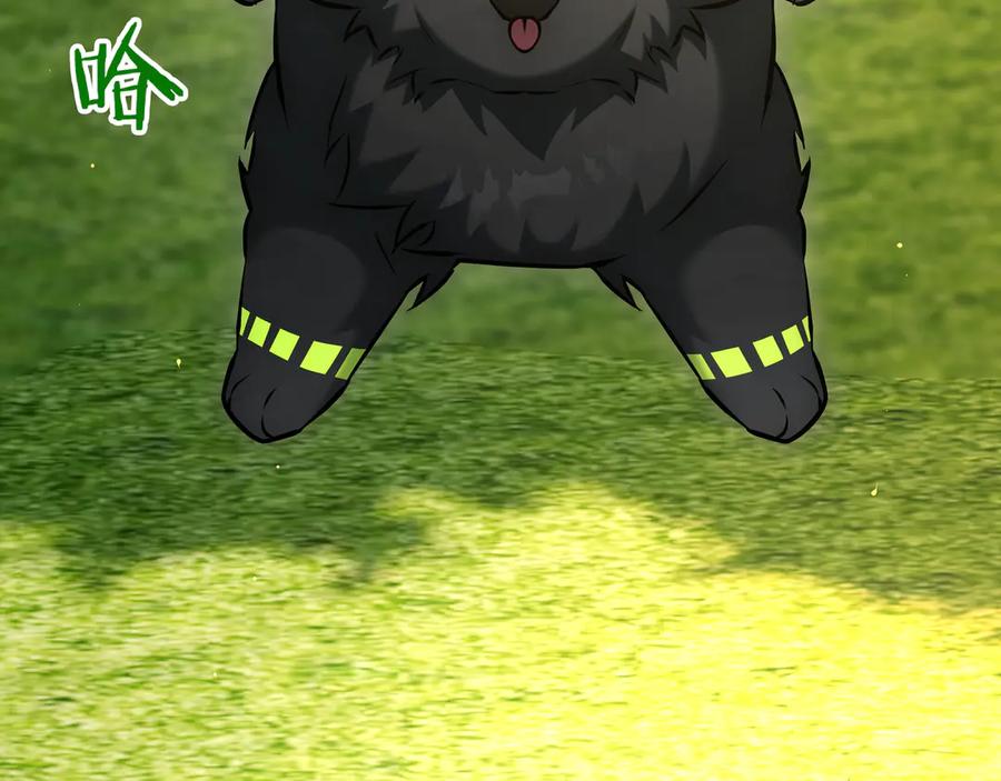 第306页