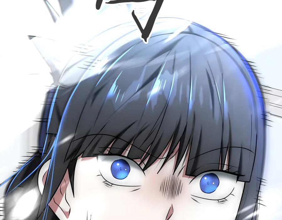 第258页