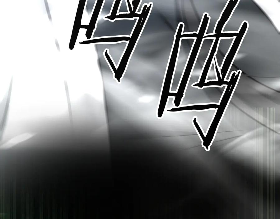 第260页