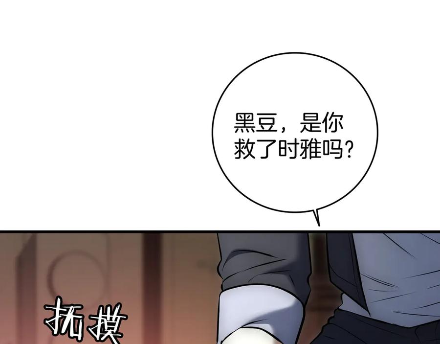 第231页