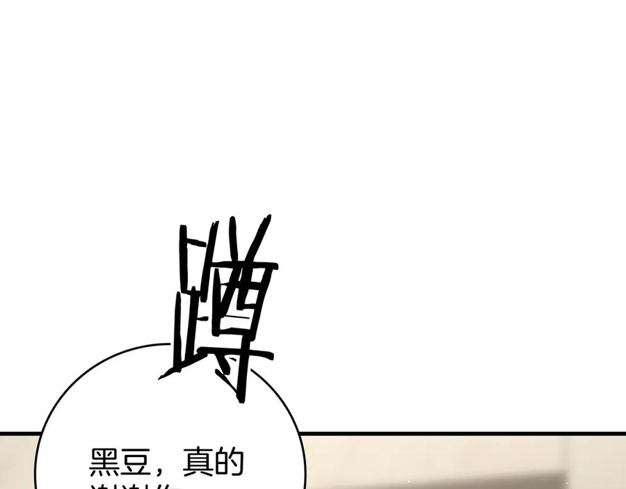 第244页