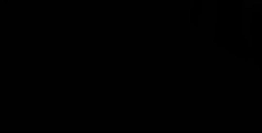 第300页