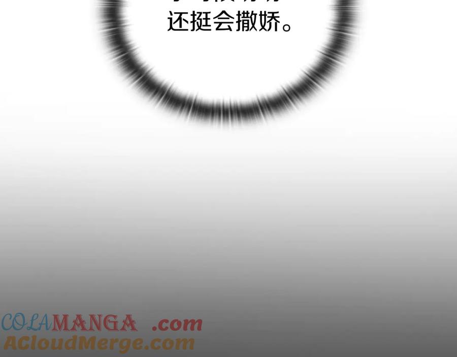 第205页