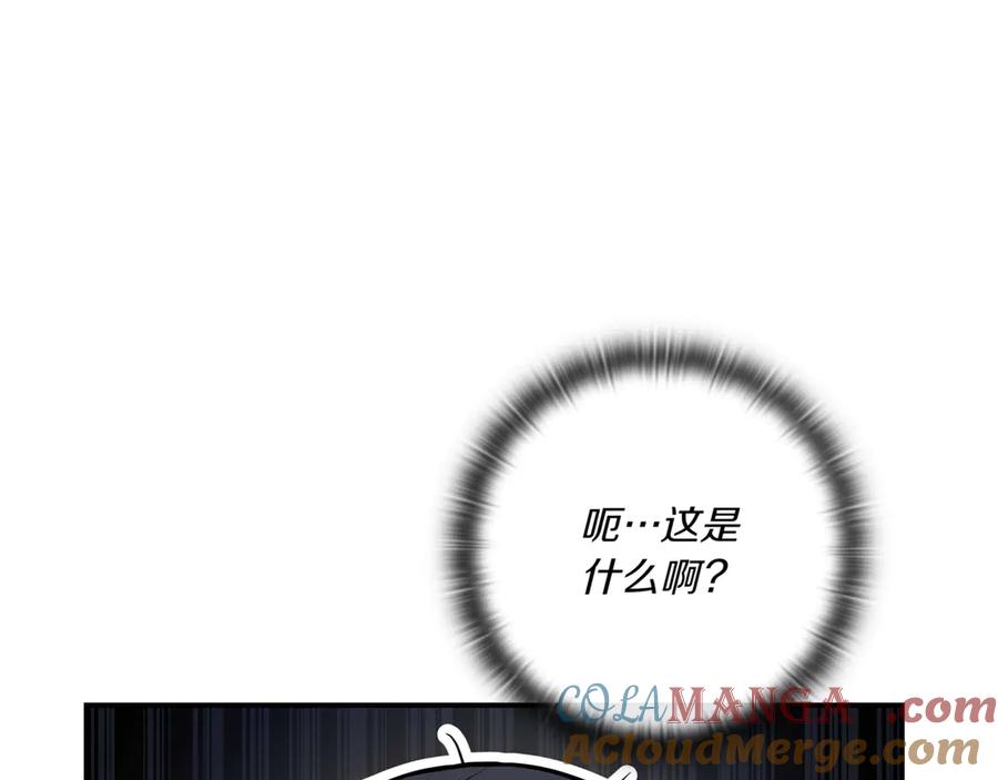 第217页