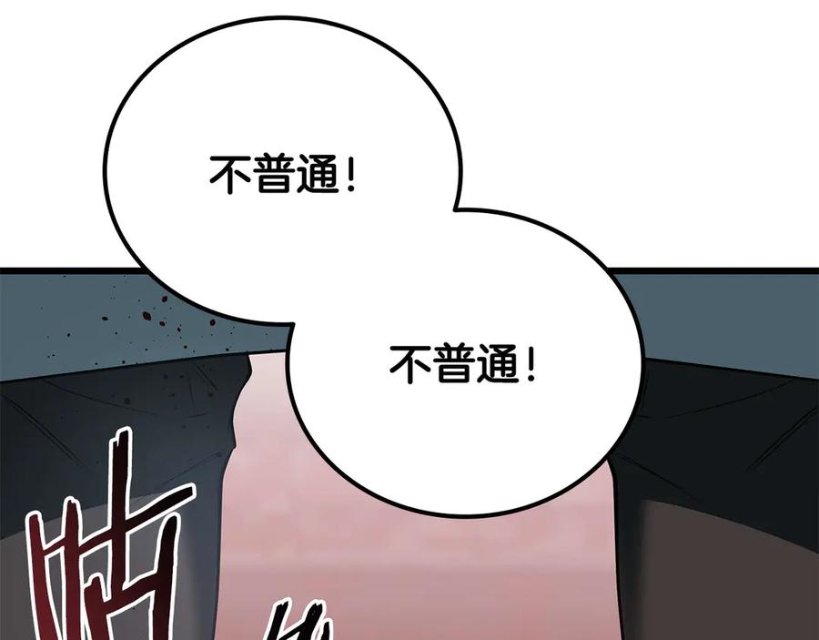 第251页