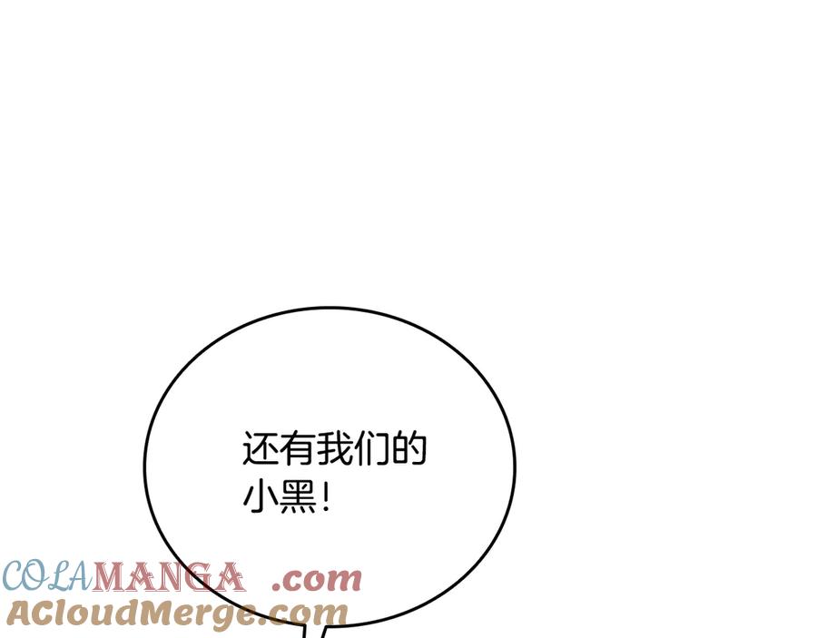 第233页