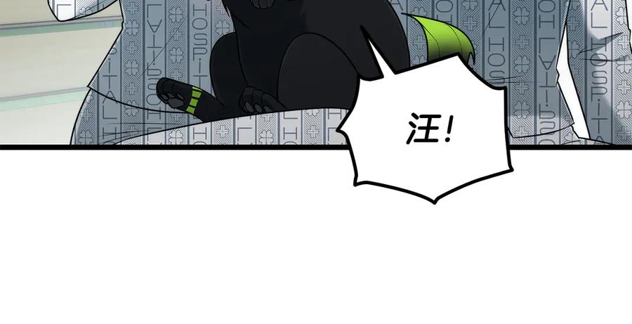 第235页