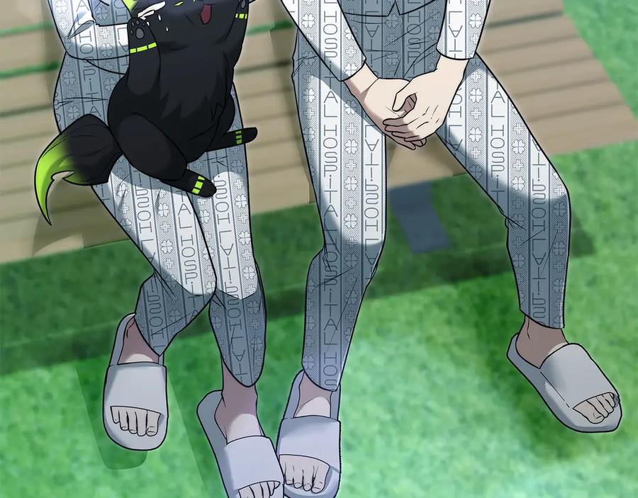 第243页