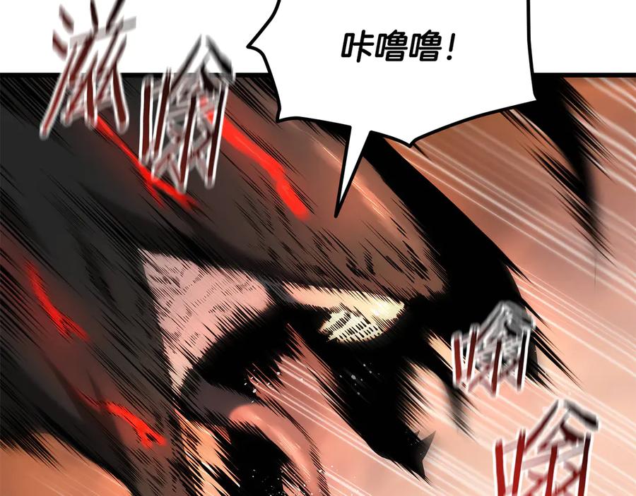 第215页