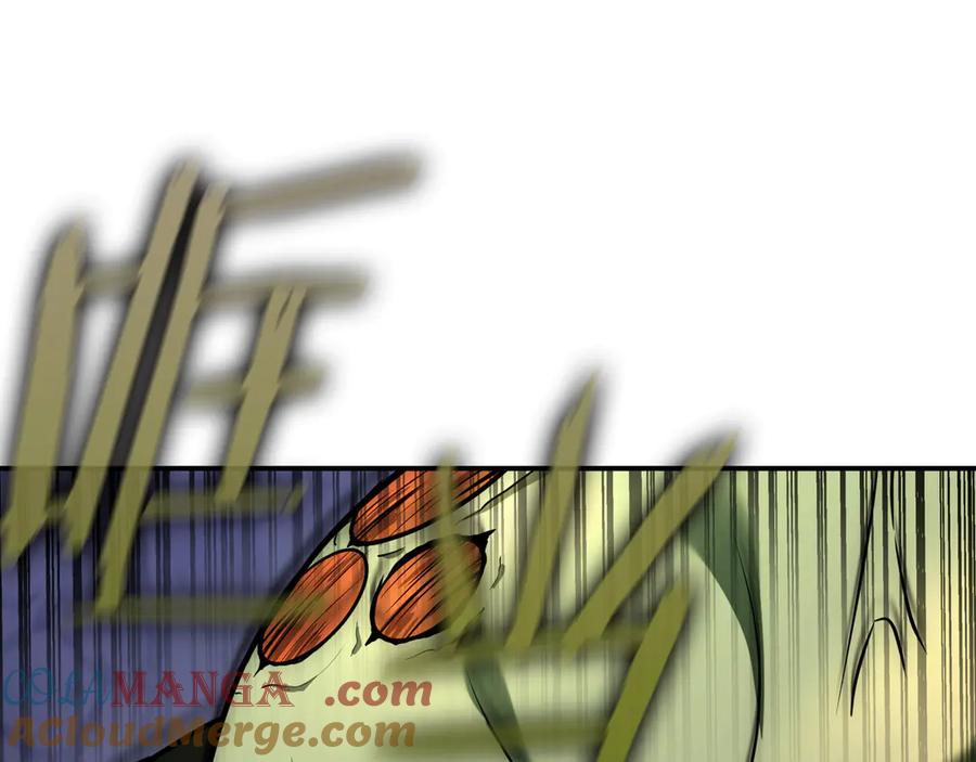 第241页
