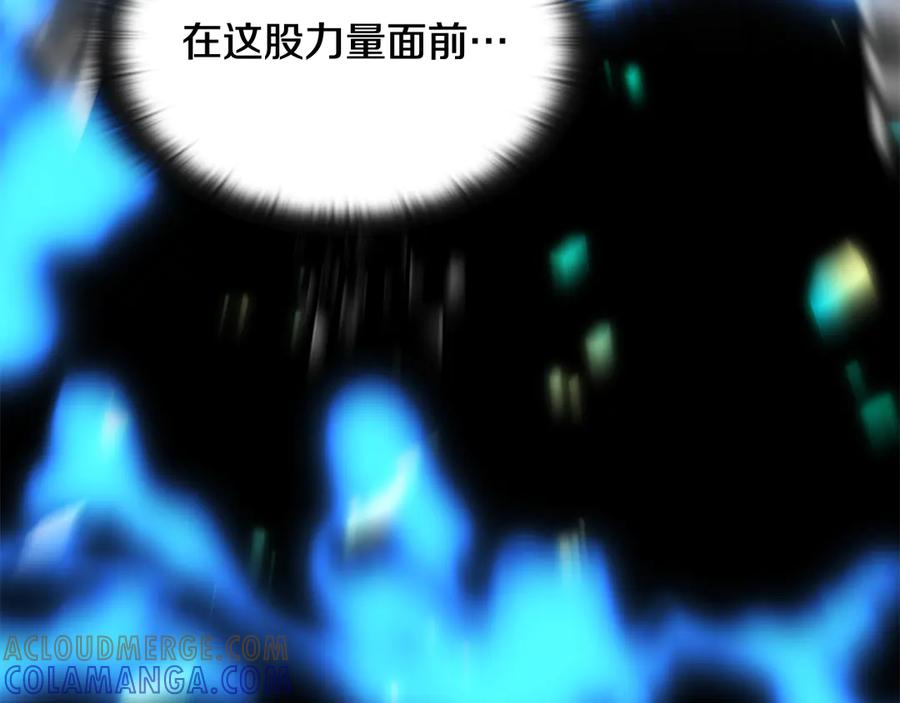 第229页