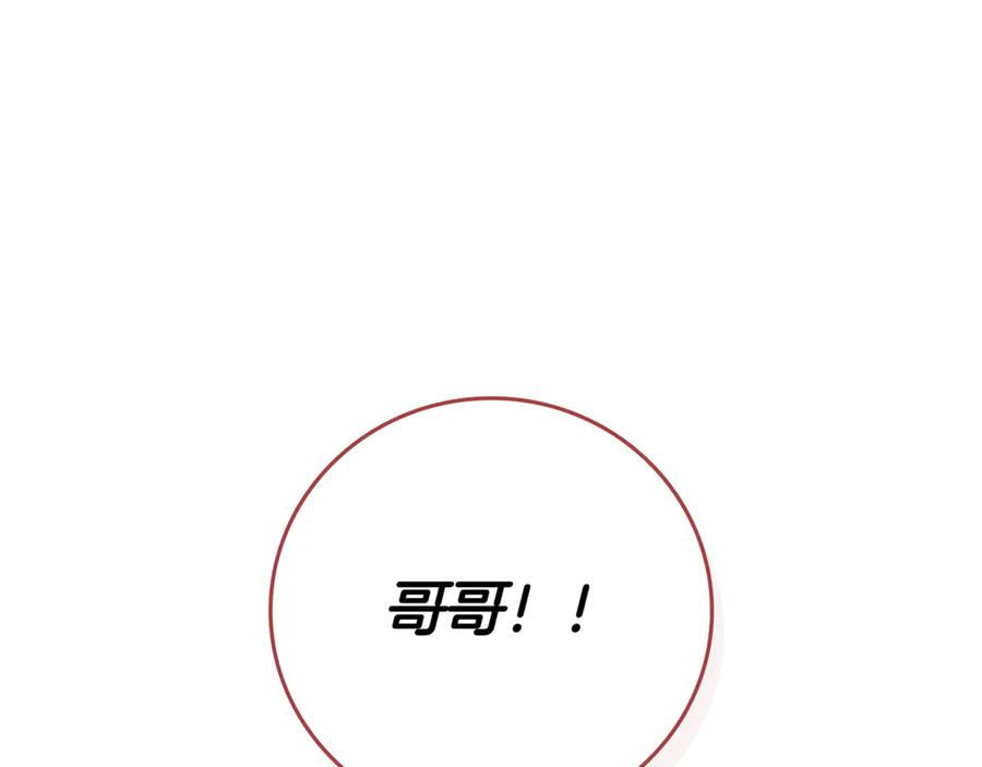第238页