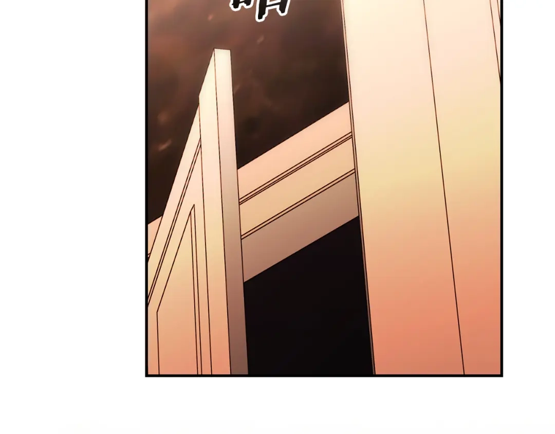 第242页