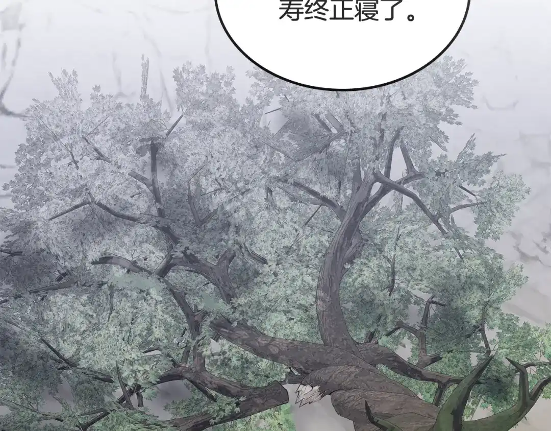 第215页