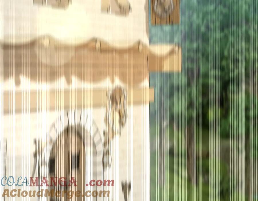 第241页