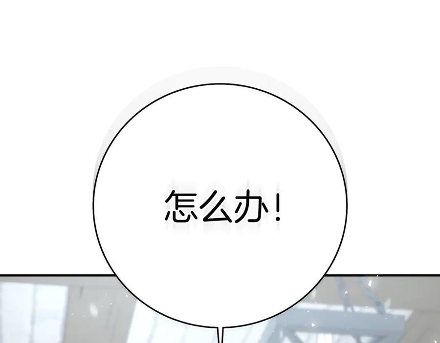 第243页