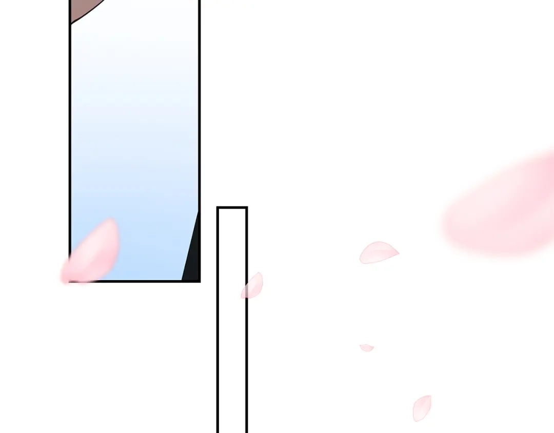 第224页