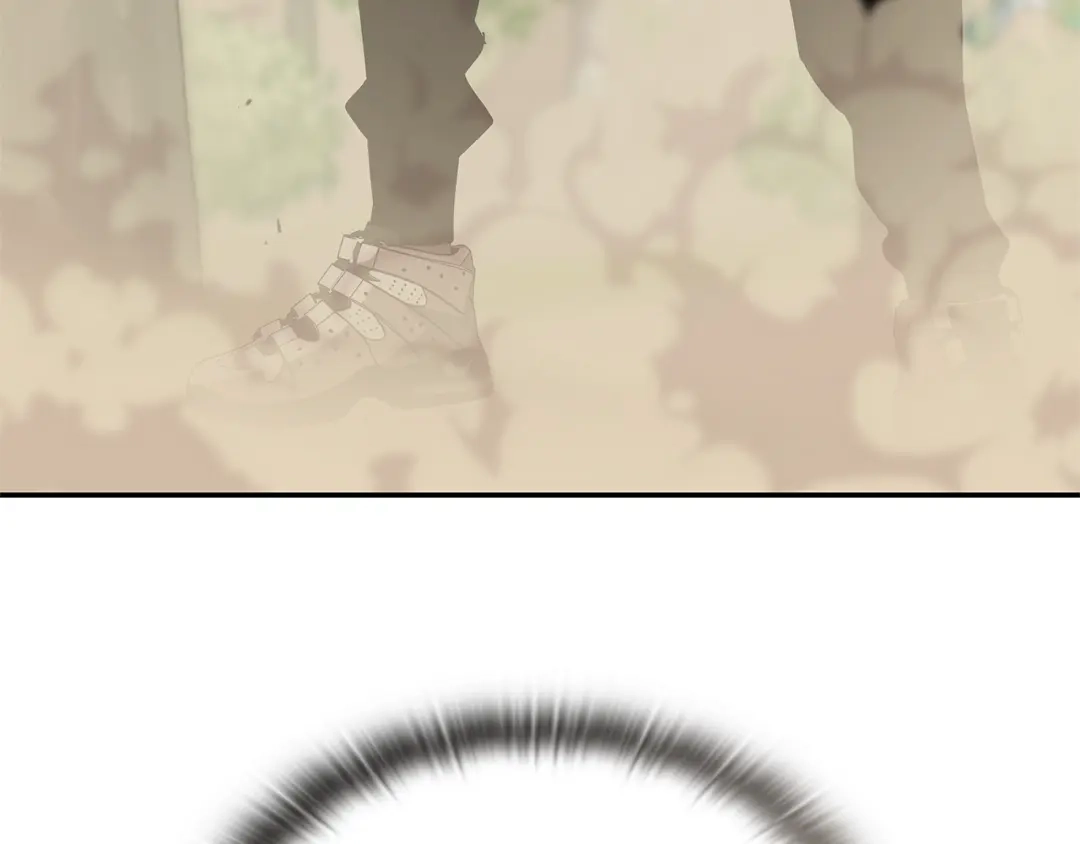 第491页