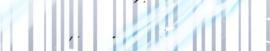 第215页