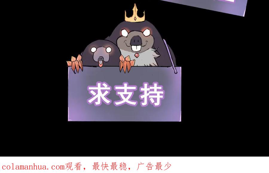 第242页