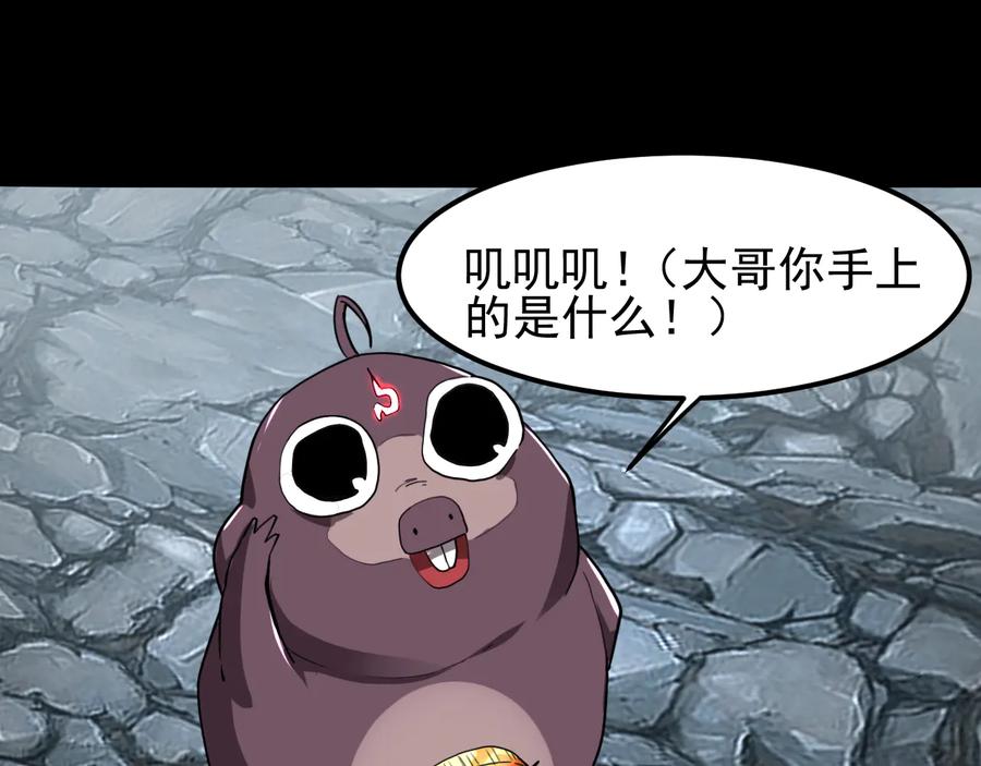 第204页