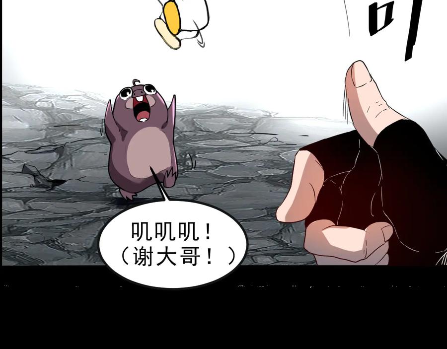 第206页