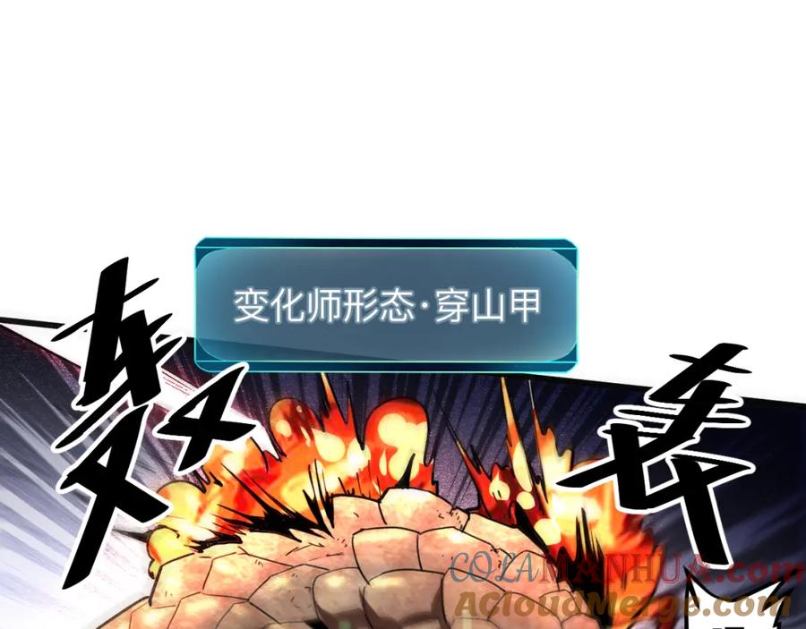 第217页
