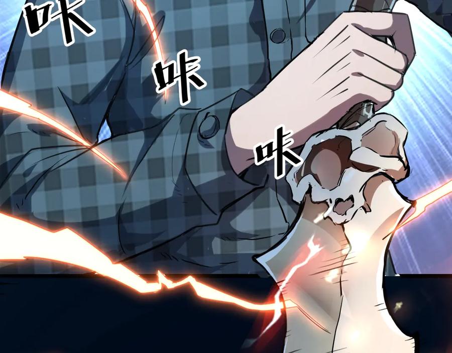 第215页