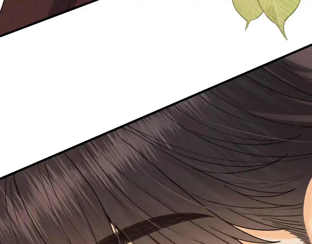 第411页