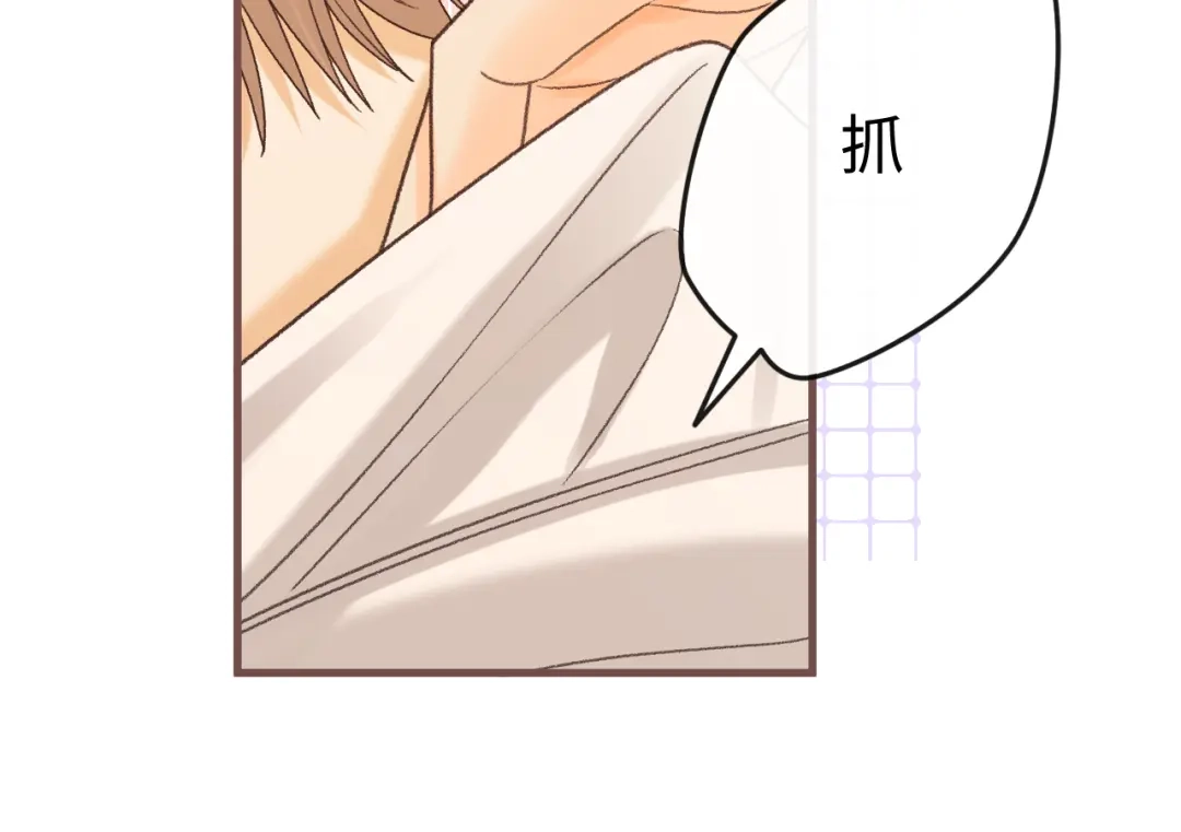 第300页