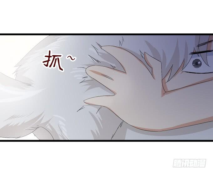 第235页