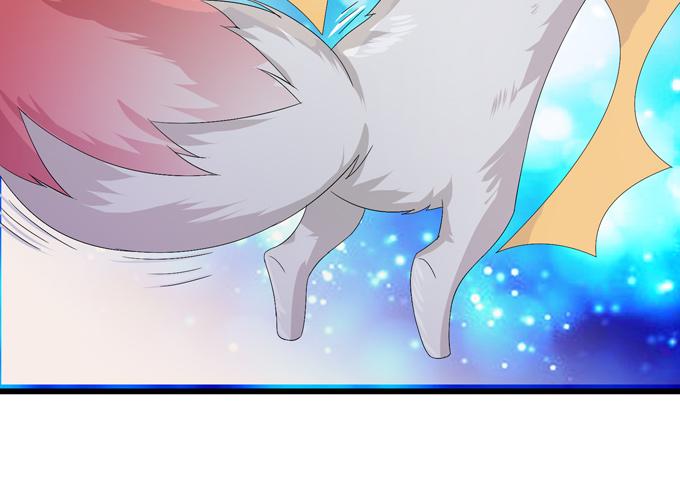第240页