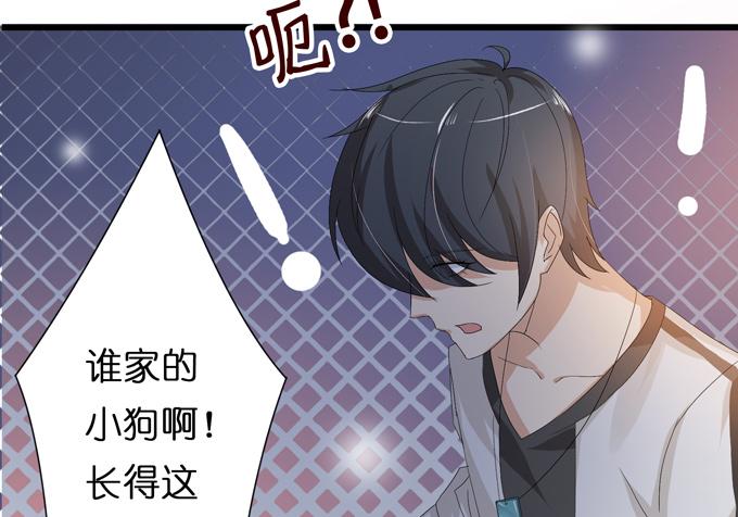 第243页